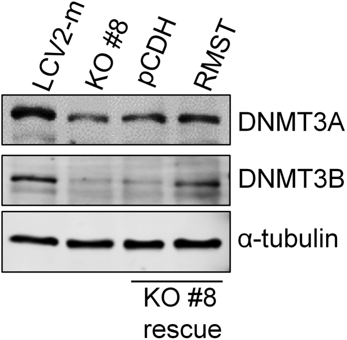 graphic file with name gr3ic.jpg