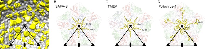 FIG 7