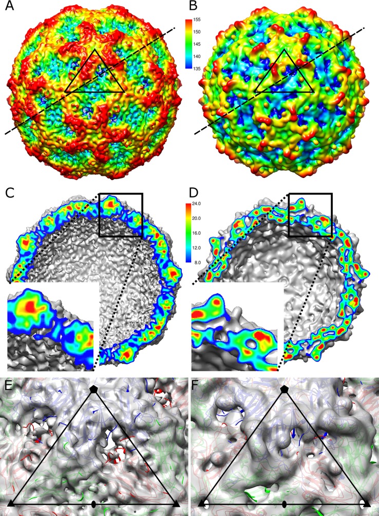 FIG 6