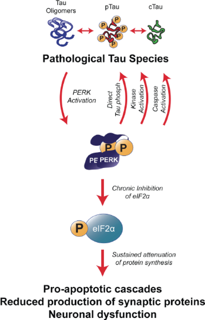 Fig. (2).