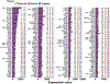 Fig. 2.