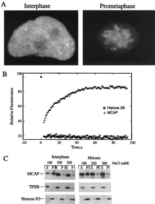 FIG. 6