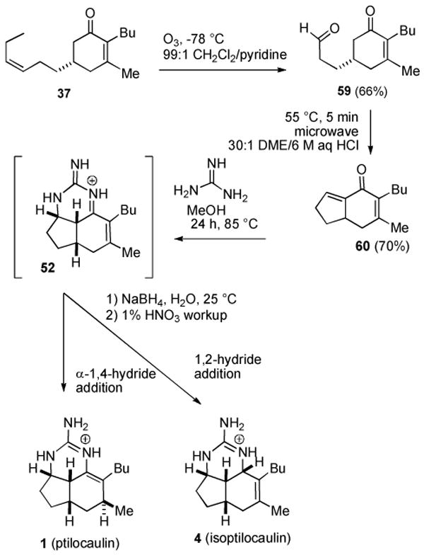 Scheme 9