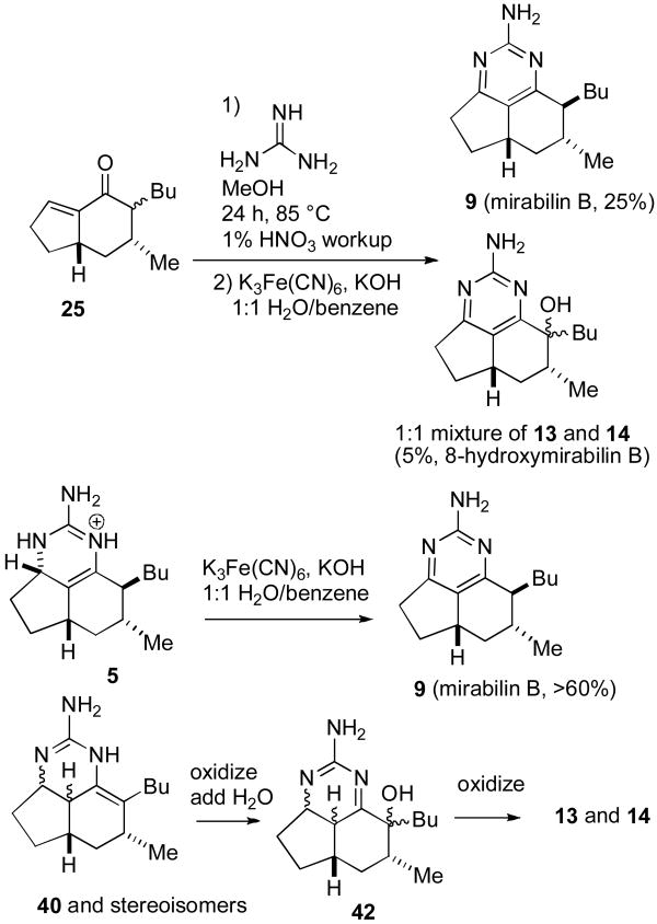 Scheme 5