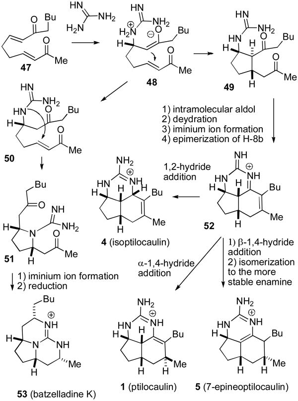 Scheme 7