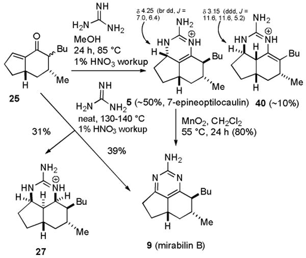 Scheme 4