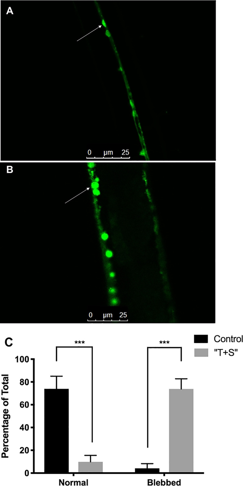 Fig 10