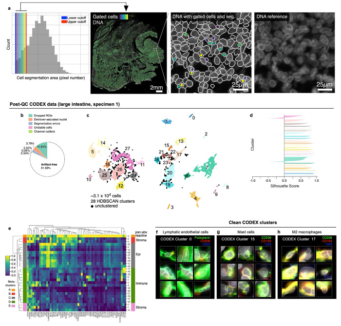 Extended Data Fig. 5 |