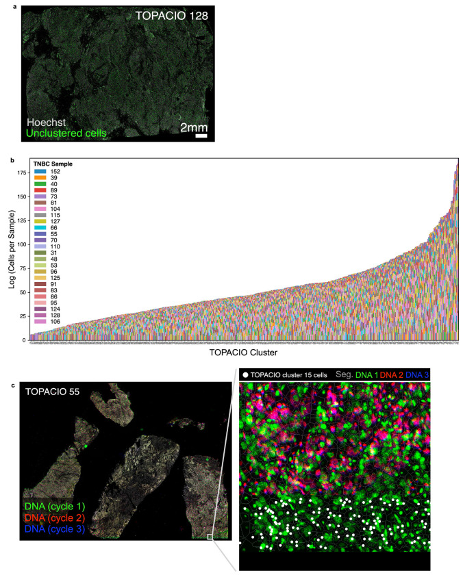 Extended Data Fig. 3 |