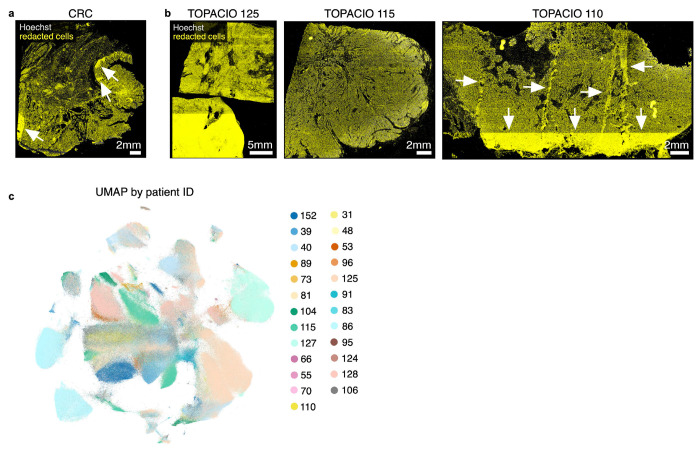 Extended data Fig. 6 |