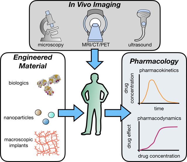 graphic file with name nihms-1944514-f0020.jpg