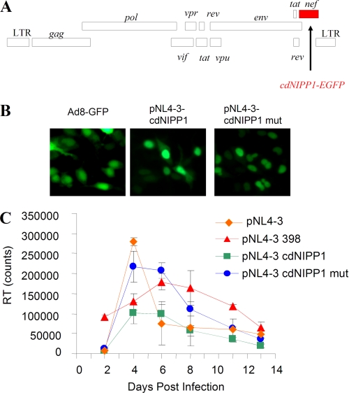 FIGURE 3.