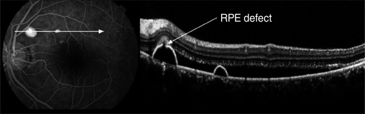 Fig. 5