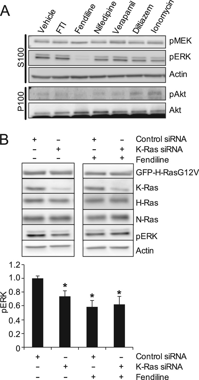 Fig 10