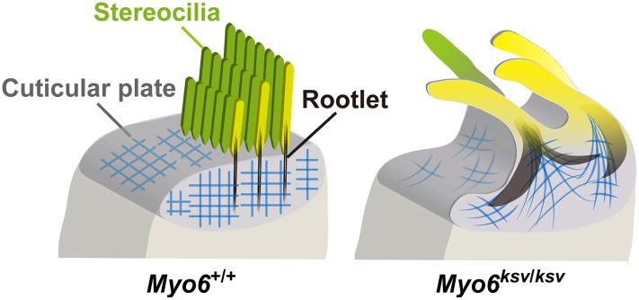 Fig 13