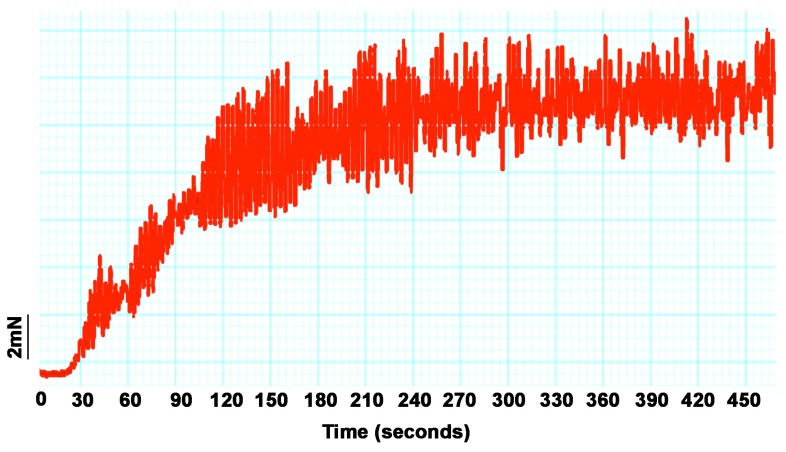 Figure 17