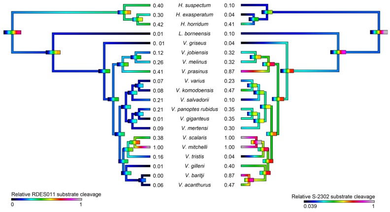 Figure 10