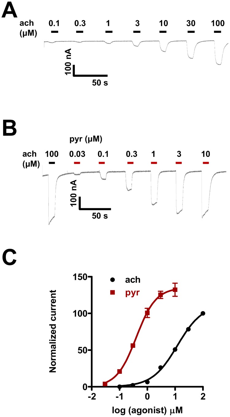 Fig 2