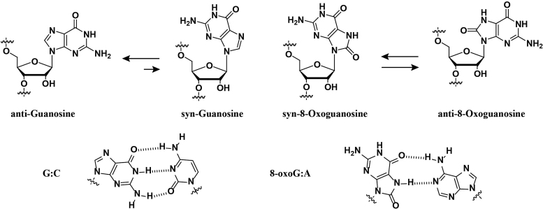 Scheme 1.