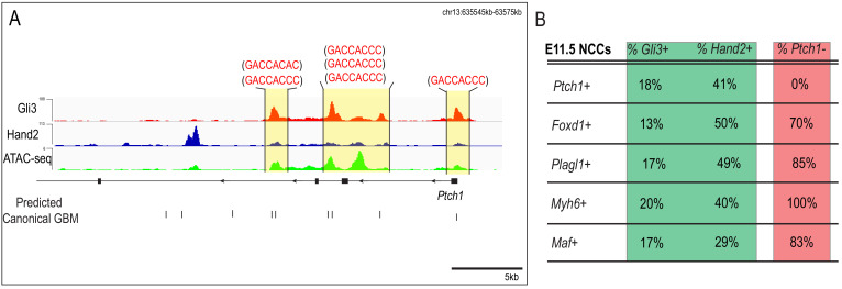 Figure 7—figure supplement 1.