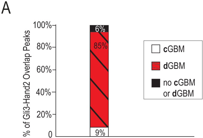 Figure 5—figure supplement 1.