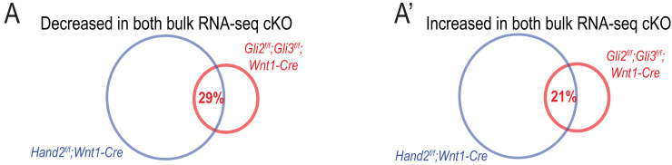 Figure 3—figure supplement 1.