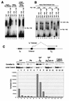 FIG. 7.