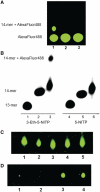 Figure 3.