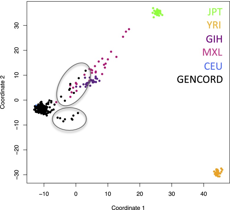 Figure 1—figure supplement 1.