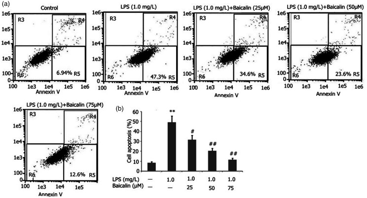 Figure 10.