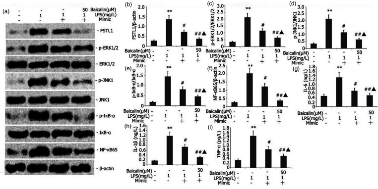 Figure 13.