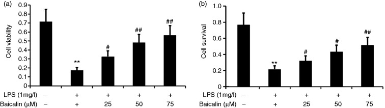 Figure 11.