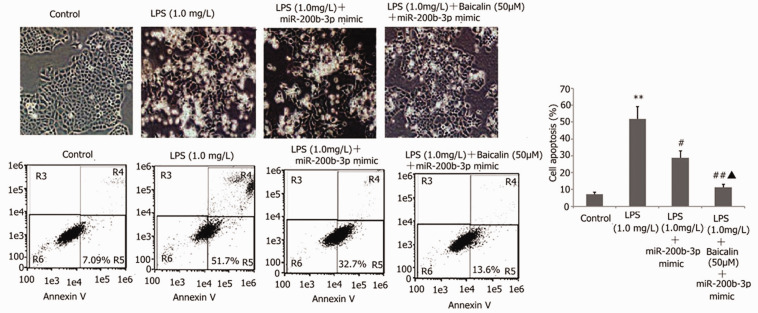 Figure 15.