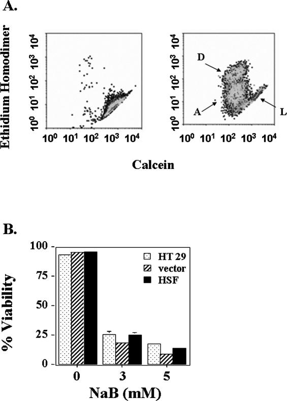 Fig 6.