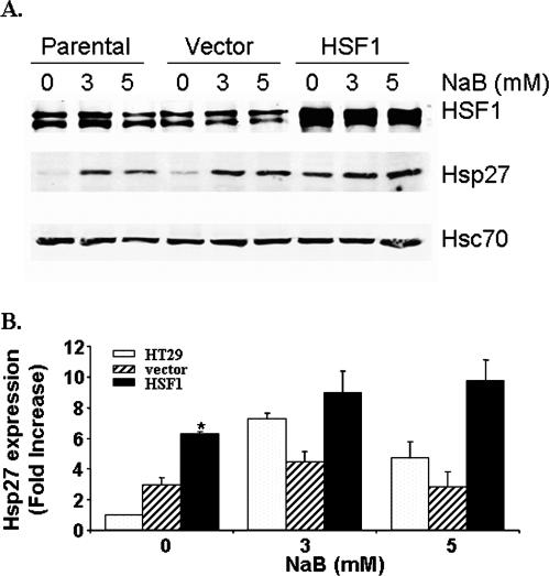 Fig 3.