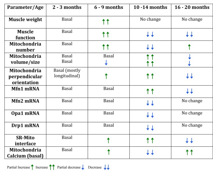 graphic file with name aging-10-101358-g007.jpg