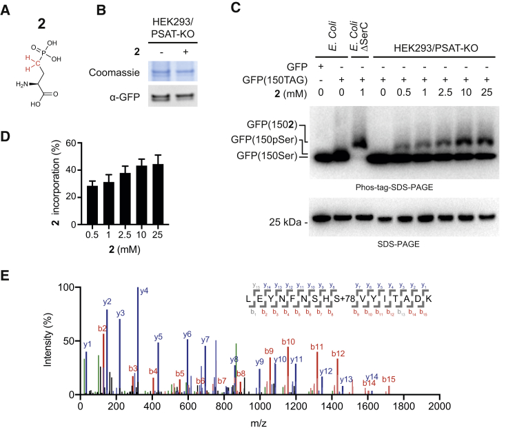 Figure 3