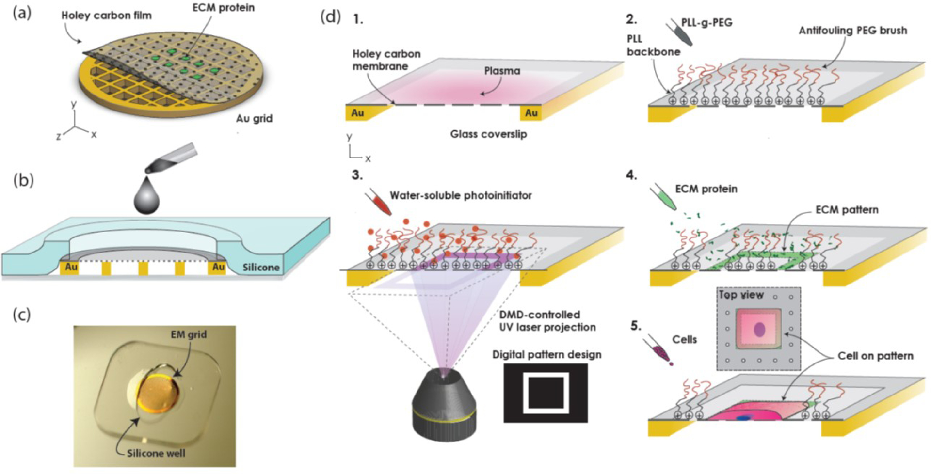 Figure 1: