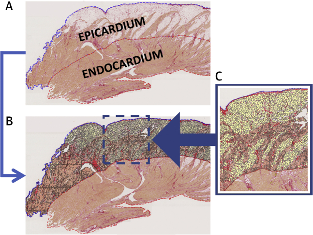 Figure 2