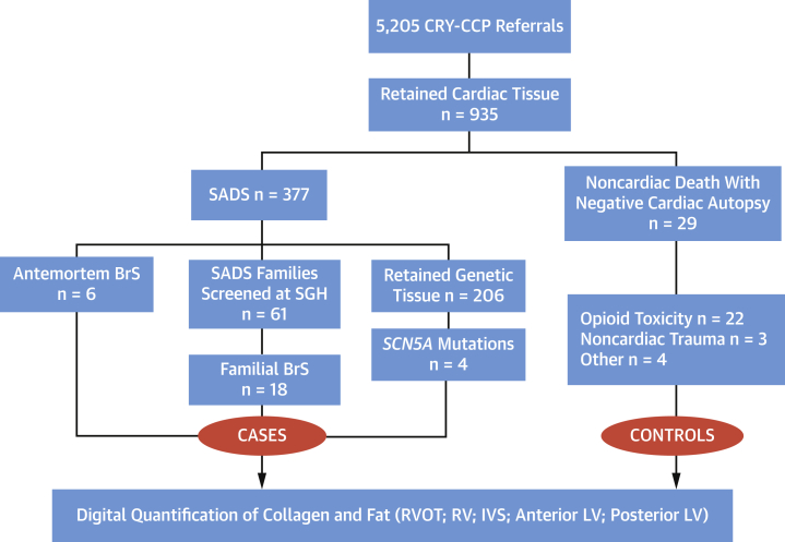 Figure 1