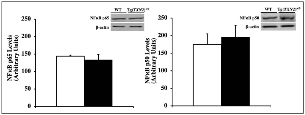 Figure 10.