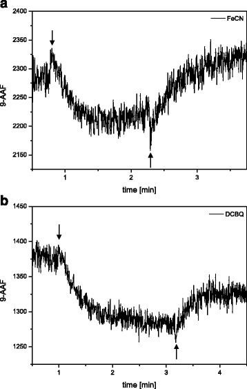 Fig. 8