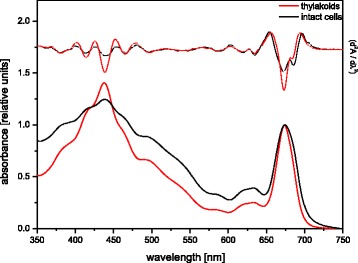 Fig. 3