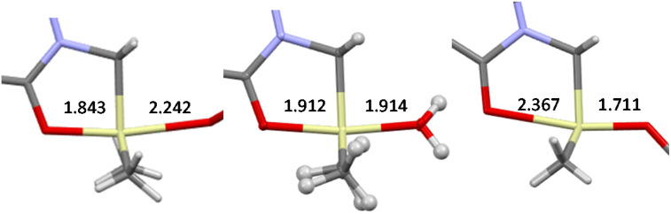 FIG. 8.