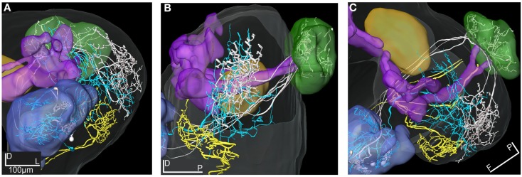 Figure 11