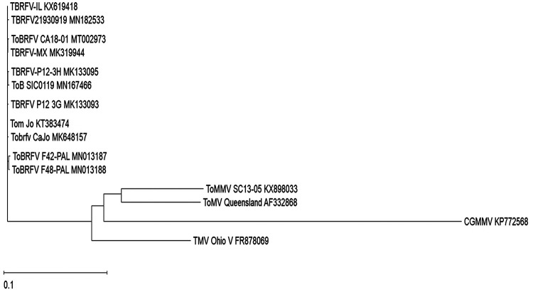 FIG 1