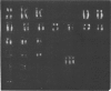 63