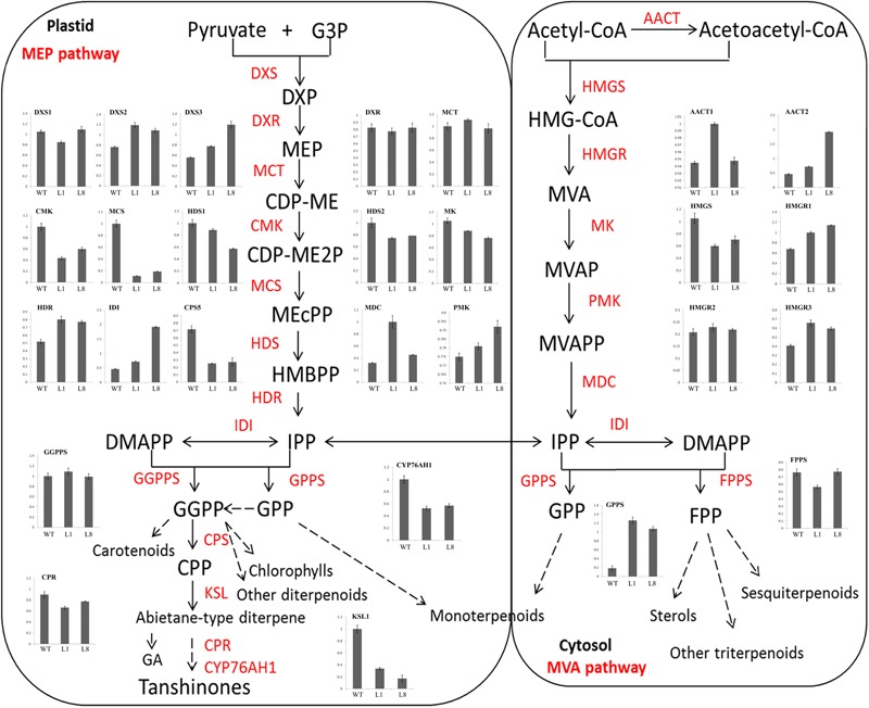 FIGURE 11