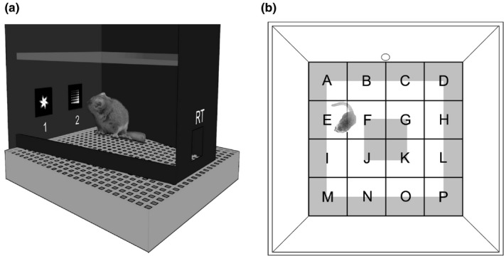 FIGURE 1