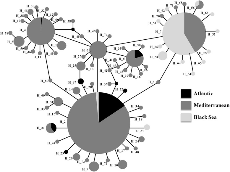 Fig. 2